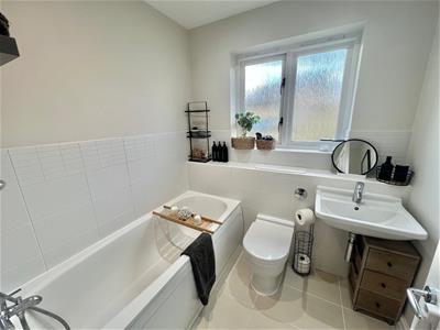 Picture 14